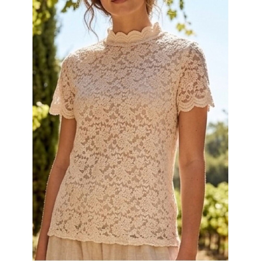 Elegant Stretch Lace Feminine Beige Top